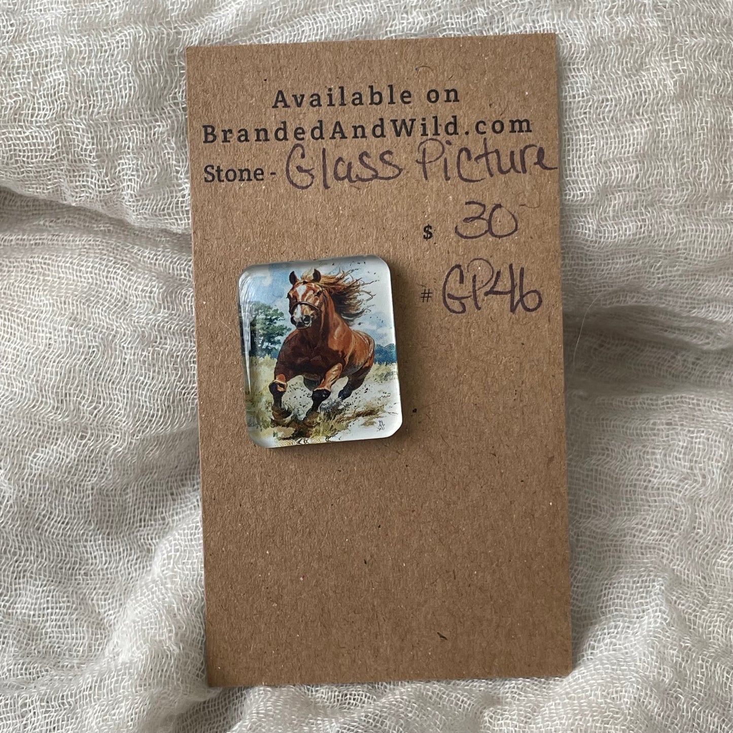 Glass Picture - Cabochon - GP46 C69503DE-7045-4E1B-ABE5-FC62F6C6E168 Brandedandwild.com