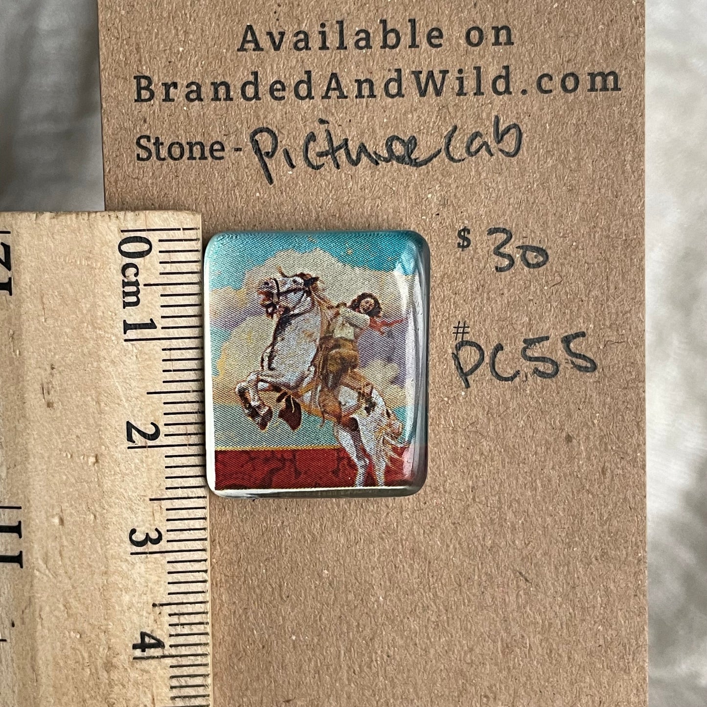 Picture Cabochon - Cabochon - PC55 C6A38971-F2DF-4559-A639-6A6A1E51109C Brandedandwild.com