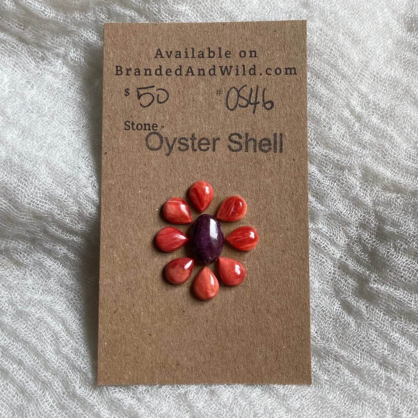 Oyster Shell Cabochon - OS46