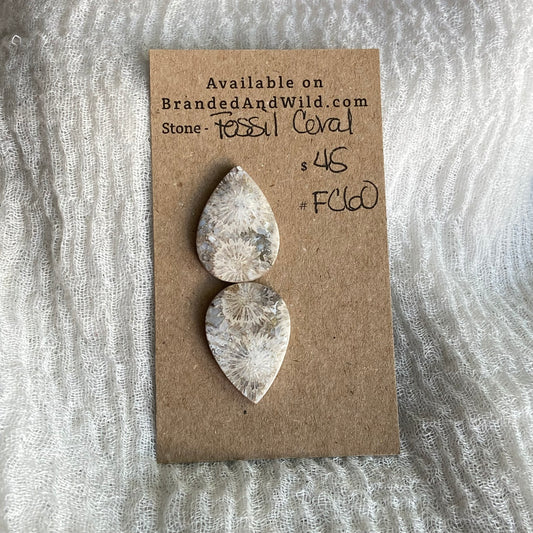 Fossil Coral Cabochon - FC60