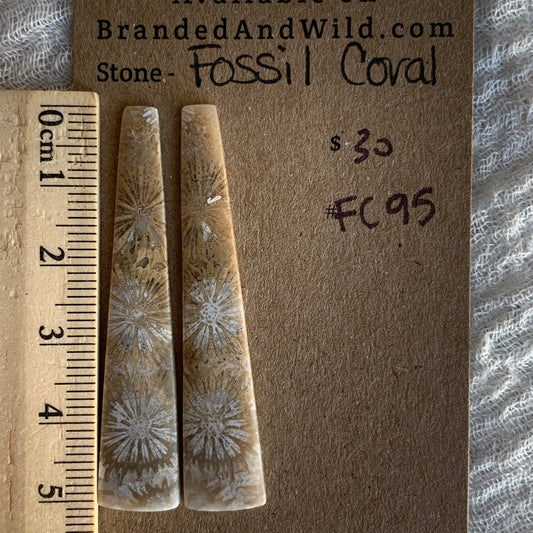 Fossil Coral Cabochon - FC95