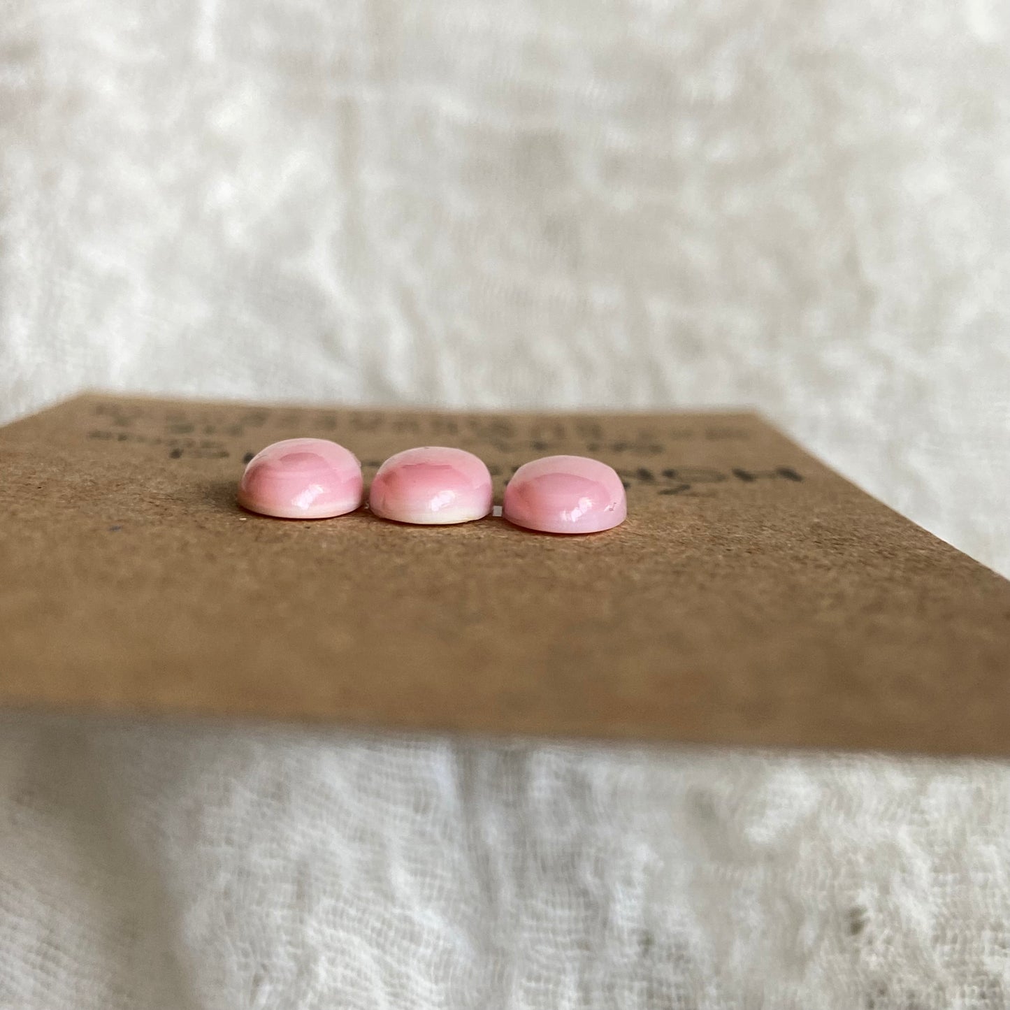Pink Conch Cabochon - PC05 C6E3C628-F7C2-4D33-85C9-BB535CE6F715 Brandedandwild.com
