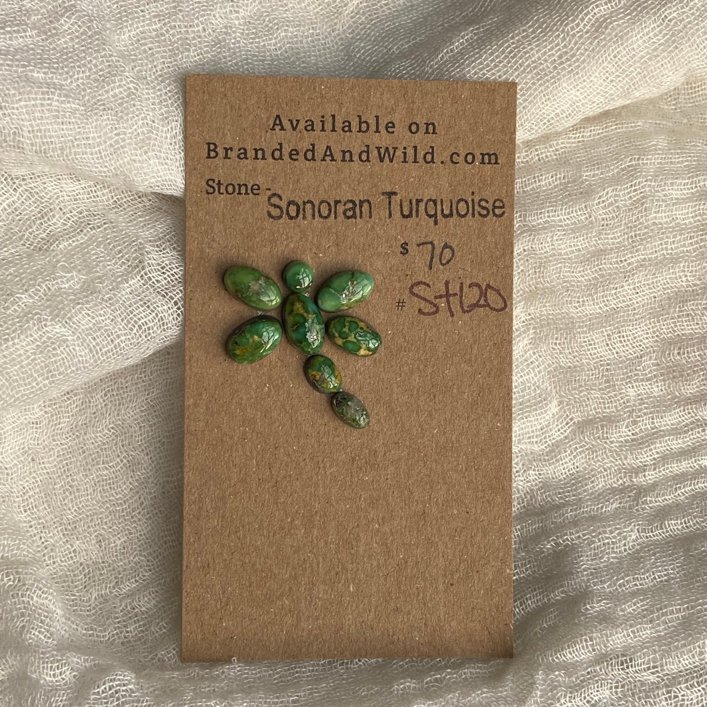 Sonoran Turquoise Cabochon - ST120