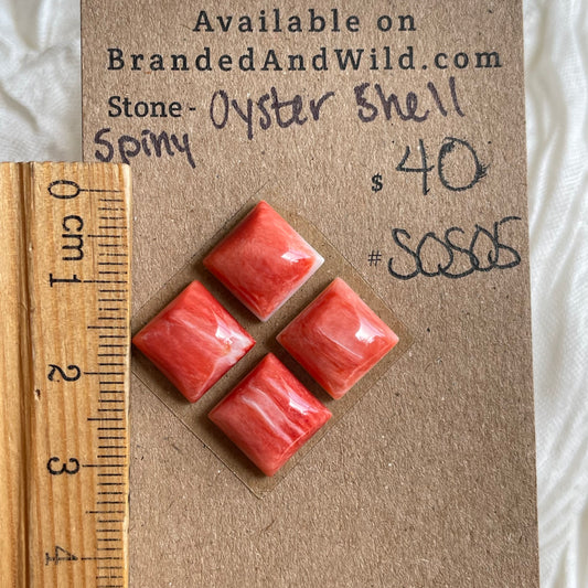 Spiny Oyster Shell Cabochon - SOS05 C6F1A7BA-B382-4942-B5C5-0C2B798C9833 Brandedandwild.com