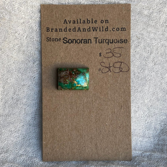 Sonoran Turquoise Cabochon - ST50