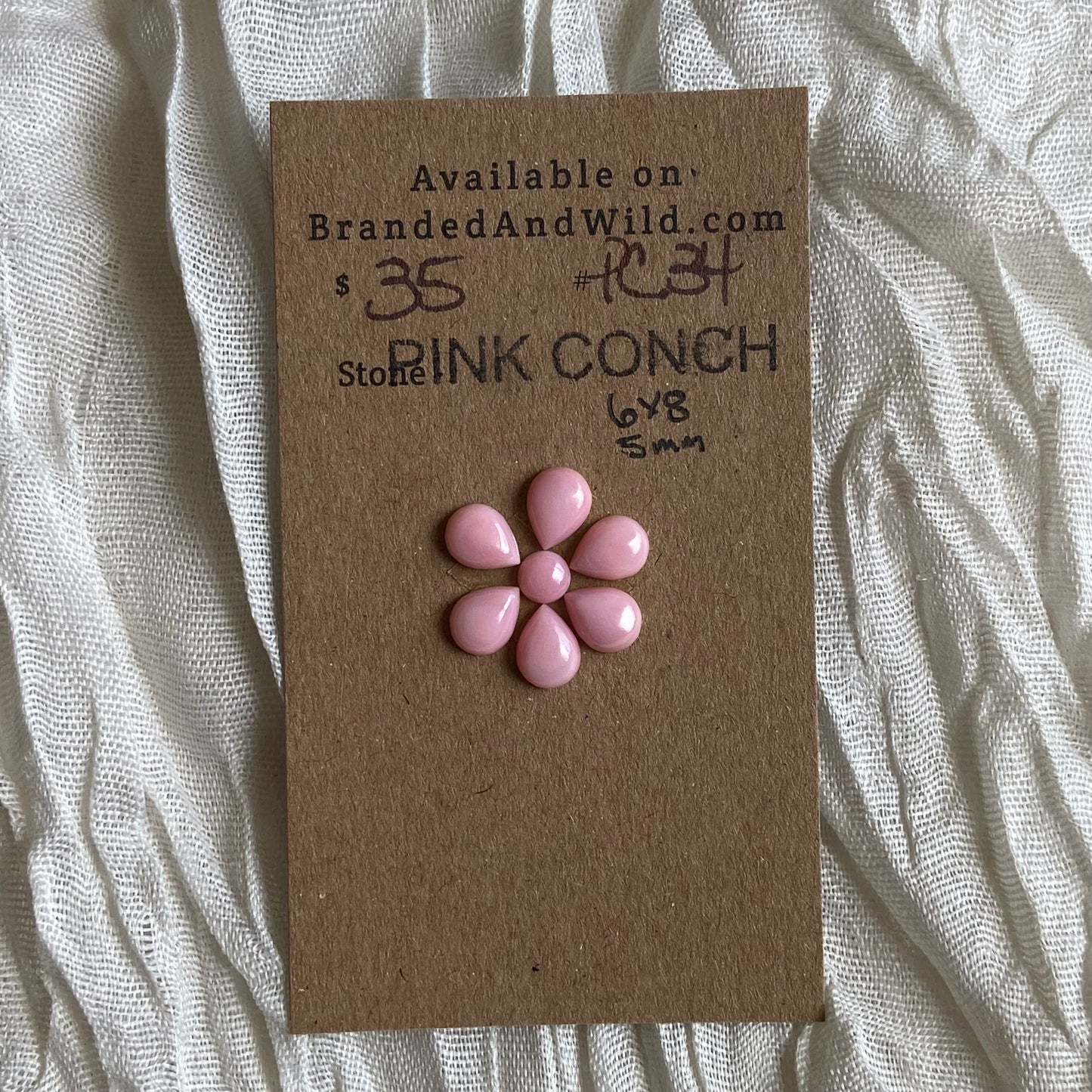 Pink Conch Cabochon - PC34 C704E50E-20DC-47D1-849D-4B56F30C4B69 Brandedandwild.com