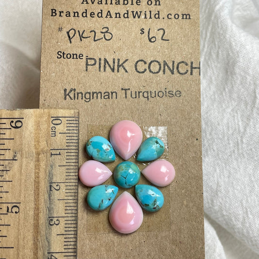 Pink Conch / Kingman Turquoise Cabochon - PK28 C72300BC-FC31-4BCB-A866-F5A5D607F64B Brandedandwild.com