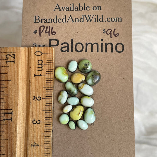Palomino Cabochon - P46 C735EA66-FAE0-4806-BE9A-66F0D2FD726F Brandedandwild.com