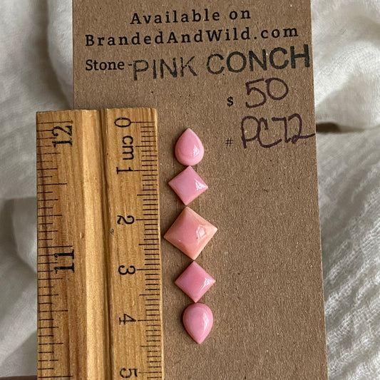 Pink Conch Cabochon - PC72