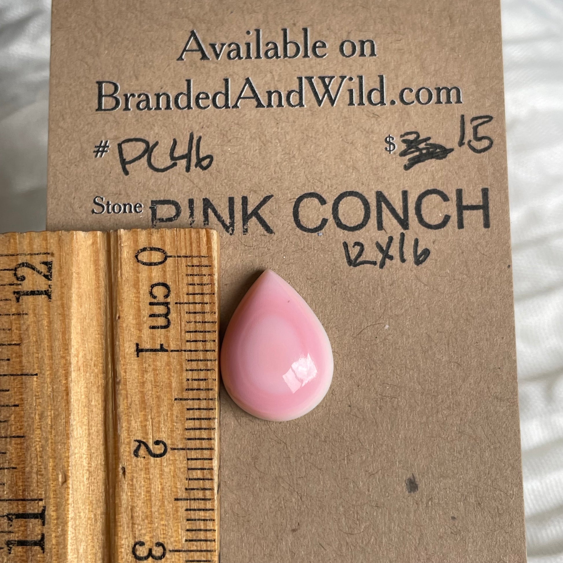 Pink Conch Cabochon - PC46 C74C5C06-3DA5-4D0C-B439-3785A564DD18 Brandedandwild.com