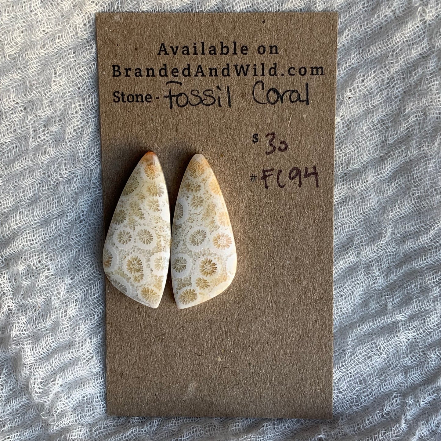 Fossil Coral Cabochon - FC94