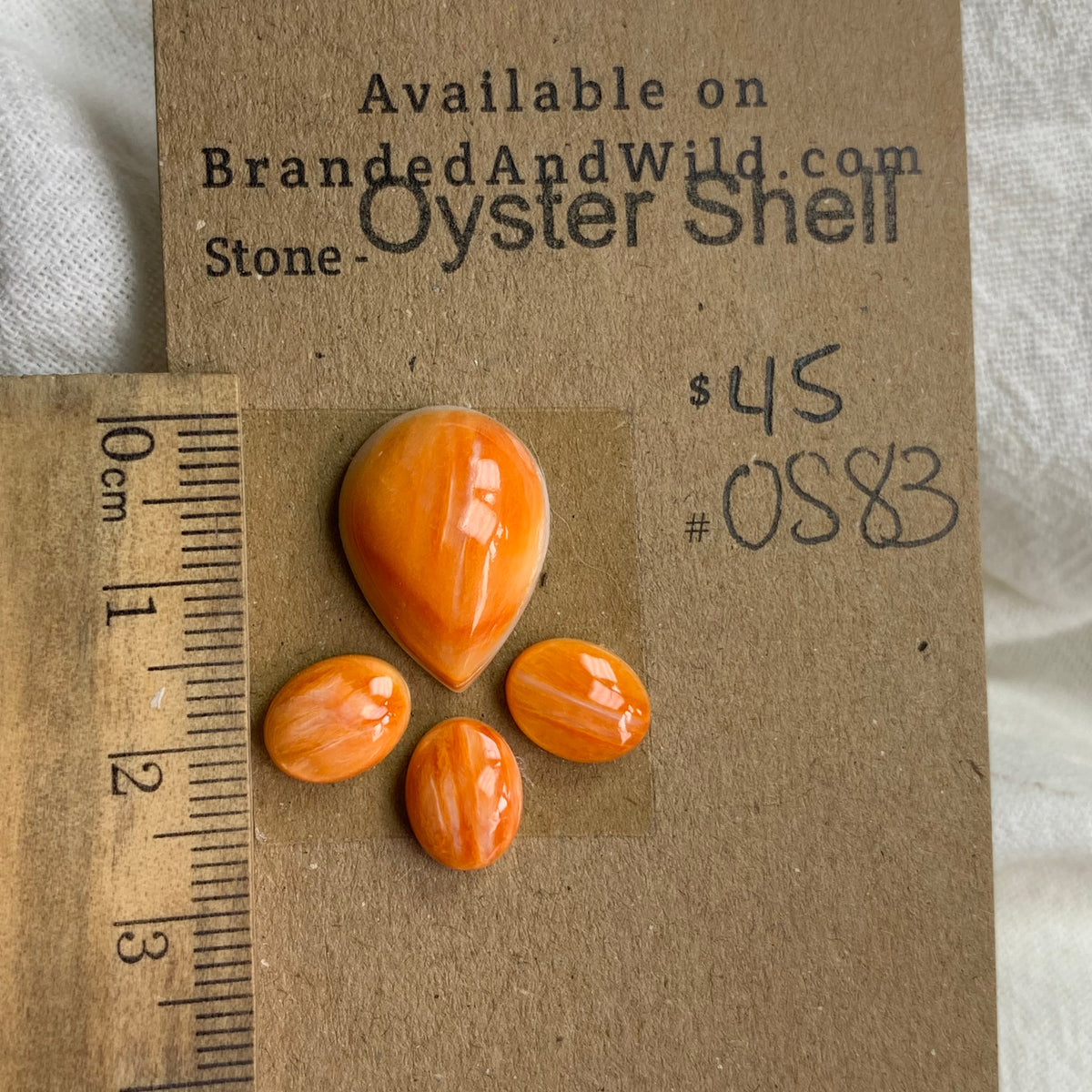 Oyster Shell Cabochon - OS83 C7736E28-89B8-4FA8-8590-4EA34A91F46C Brandedandwild.com