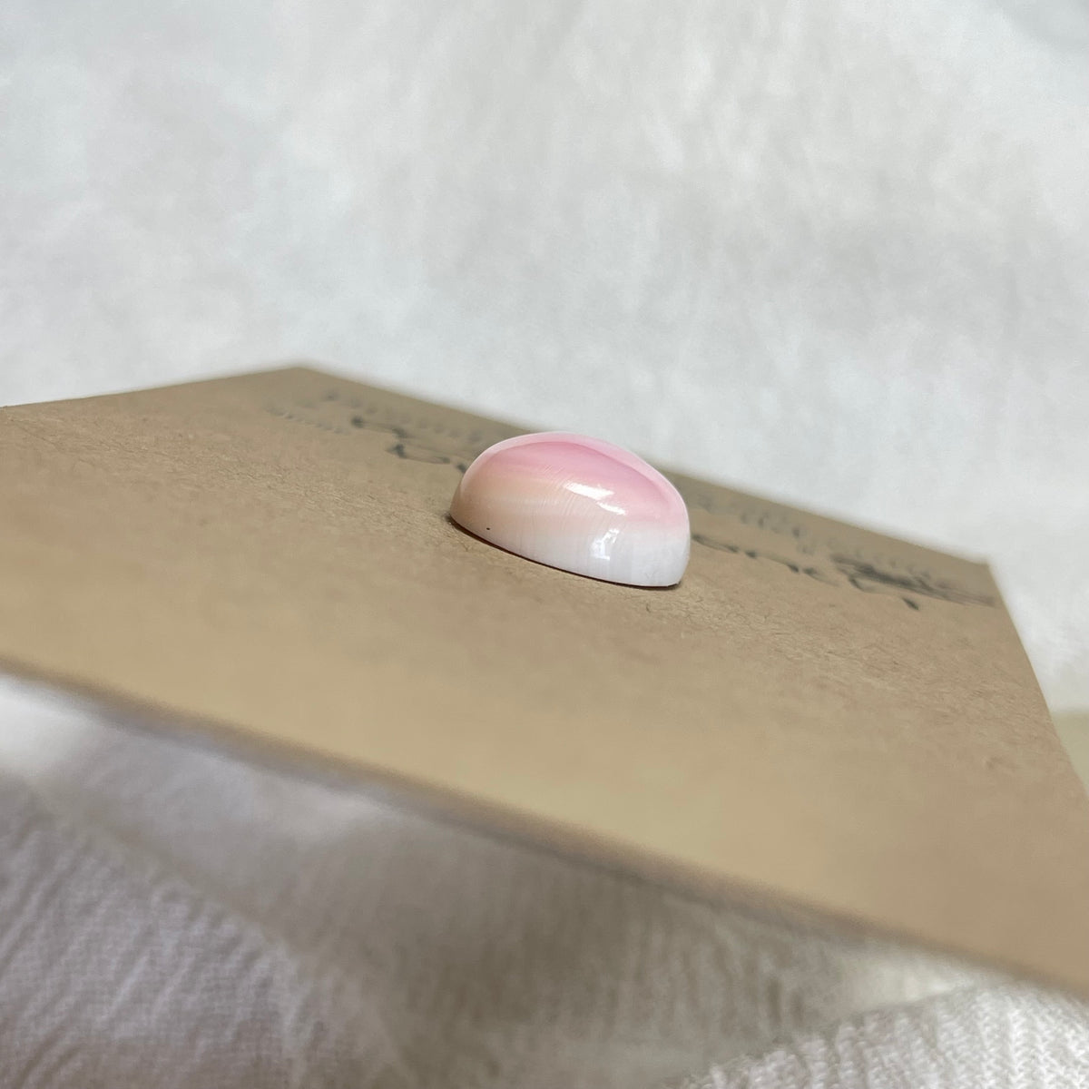 Pink Conch Cabochon - P038 C7803B7D-B288-4497-8E5B-458C641F6DAC Brandedandwild.com