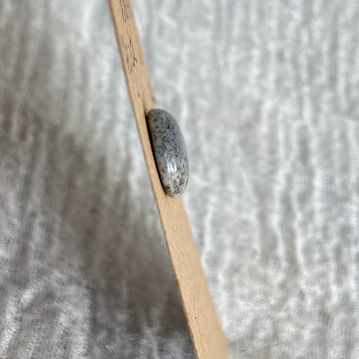 Dendritic Agate Cabochon - DA26