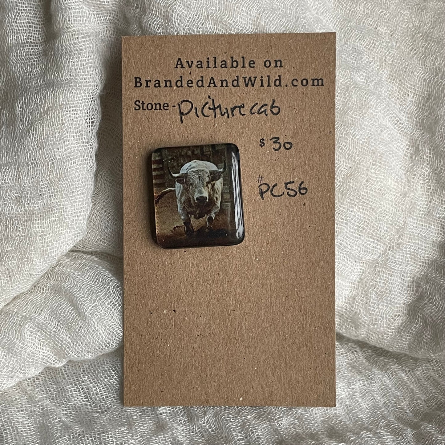 Picture Cabochon - Cabochon - PC56 C7868C91-4631-4017-A7BF-A162DA5004EE Brandedandwild.com