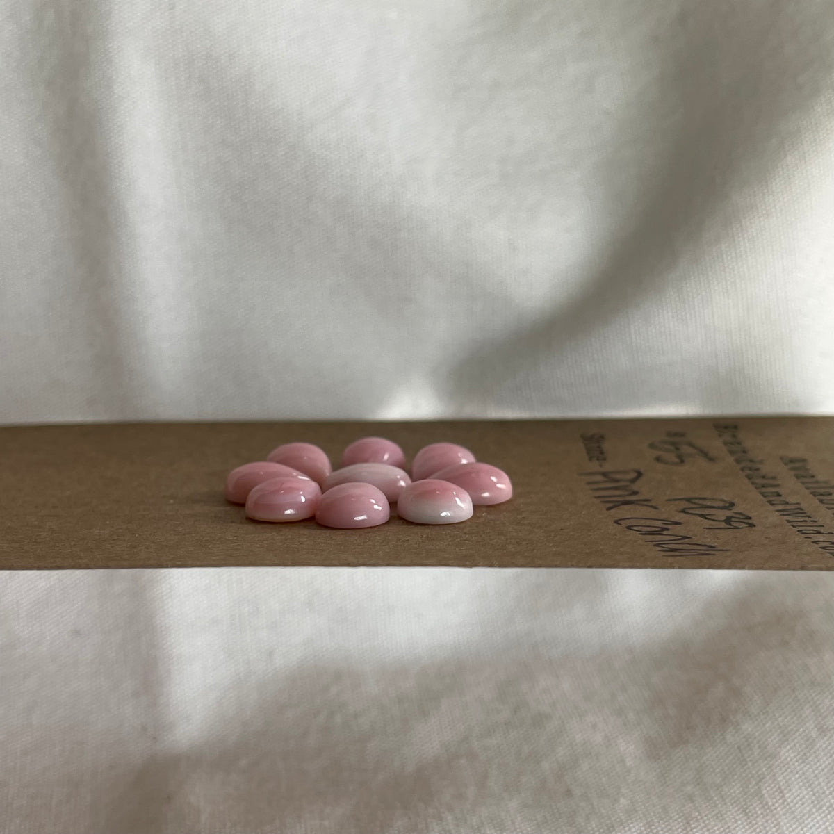 Pink Conch Cabochon - PC39 C7AE474C-1283-4B9D-9D03-57FD18CAE89D Brandedandwild.com