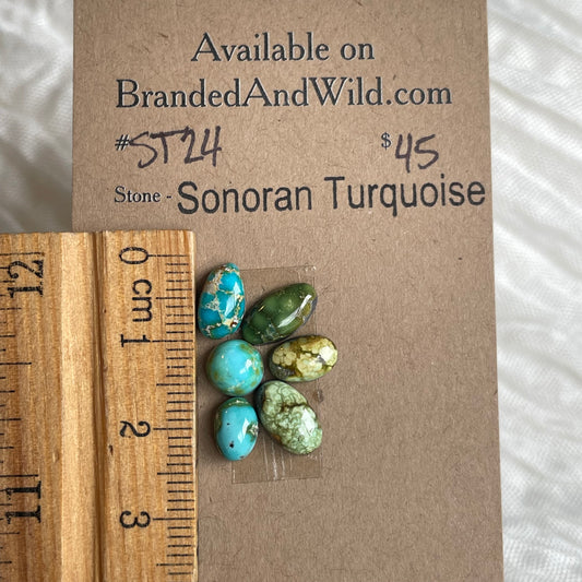 Sonoran Turquoise Cabochon - ST24 C7B4B5CB-7AEC-4891-ACE1-F4A212338FD1 Brandedandwild.com