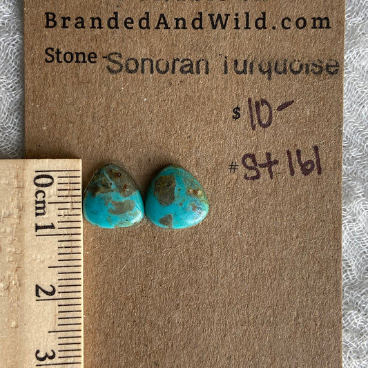 Sonoran Turquoise Cabochon - ST161
