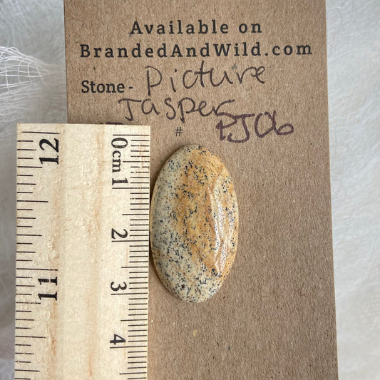 Picture Jasper Cabochon - PJ06