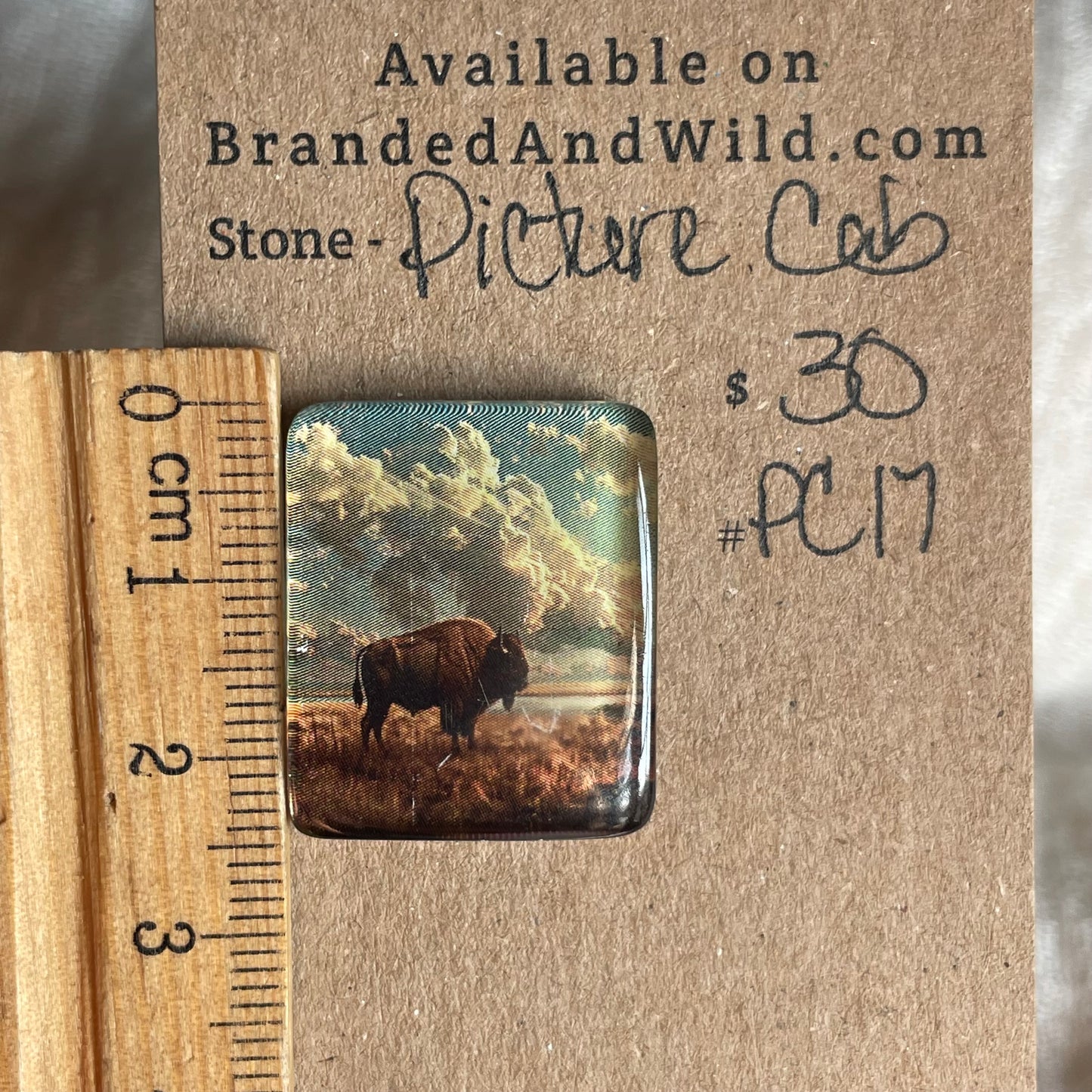 Picture Cabochon - Cabochon - PC17 C7D34415-DB32-4A2D-94FF-C6BE63DB01BF Brandedandwild.com