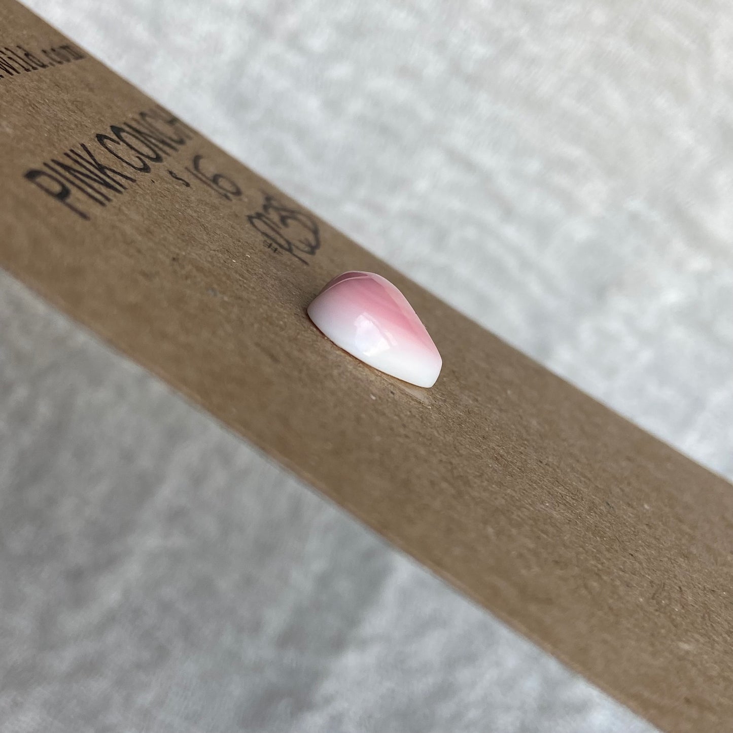 Pink Conch Cabochon - PC38