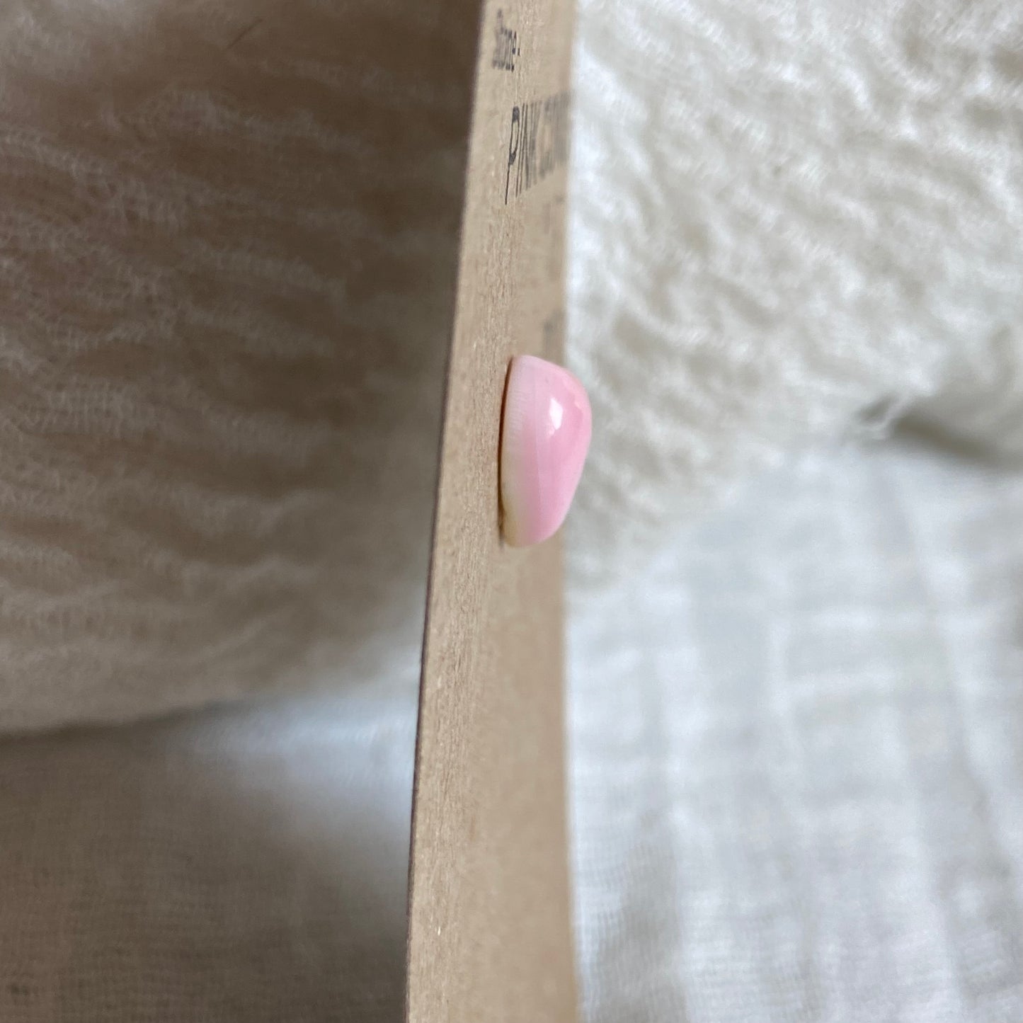 Pink Conch Cabochon - PC10
