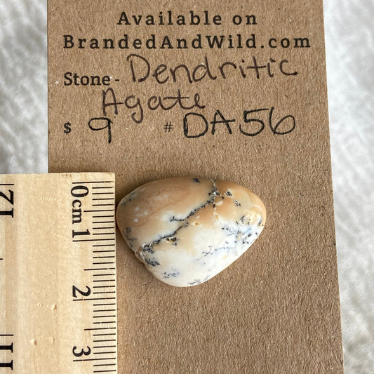 Dendritic Agate Cabochon - DA56