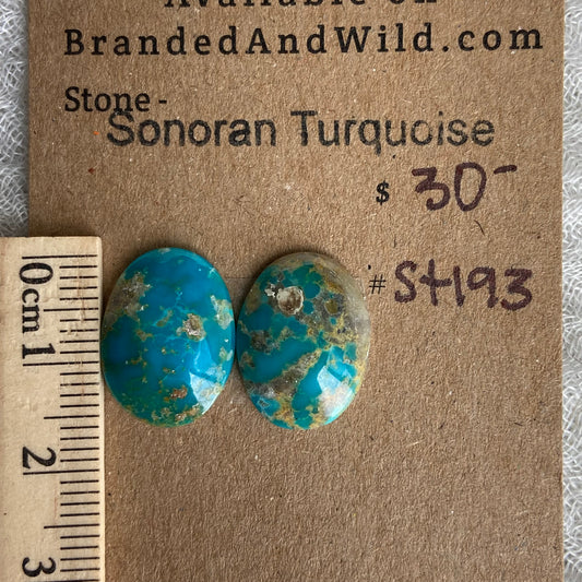 Sonoran Turquoise Cabochon - ST193