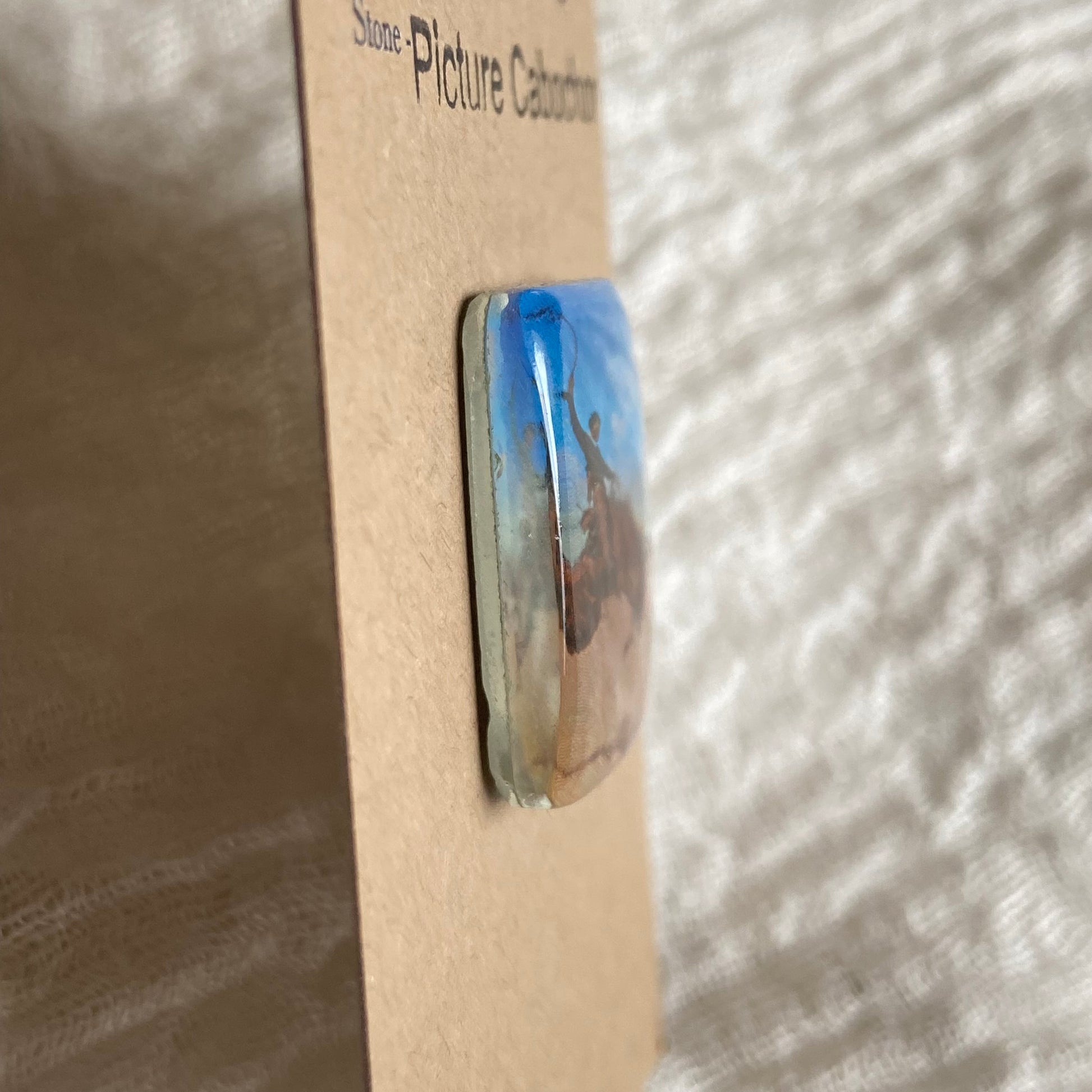 Picture Cabochon - Cabochon - PC21 C87E2682-6727-4A98-ADC7-80B4FE3BF5CF Brandedandwild.com