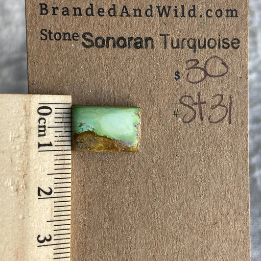 Sonoran Turquoise Cabochon - ST31