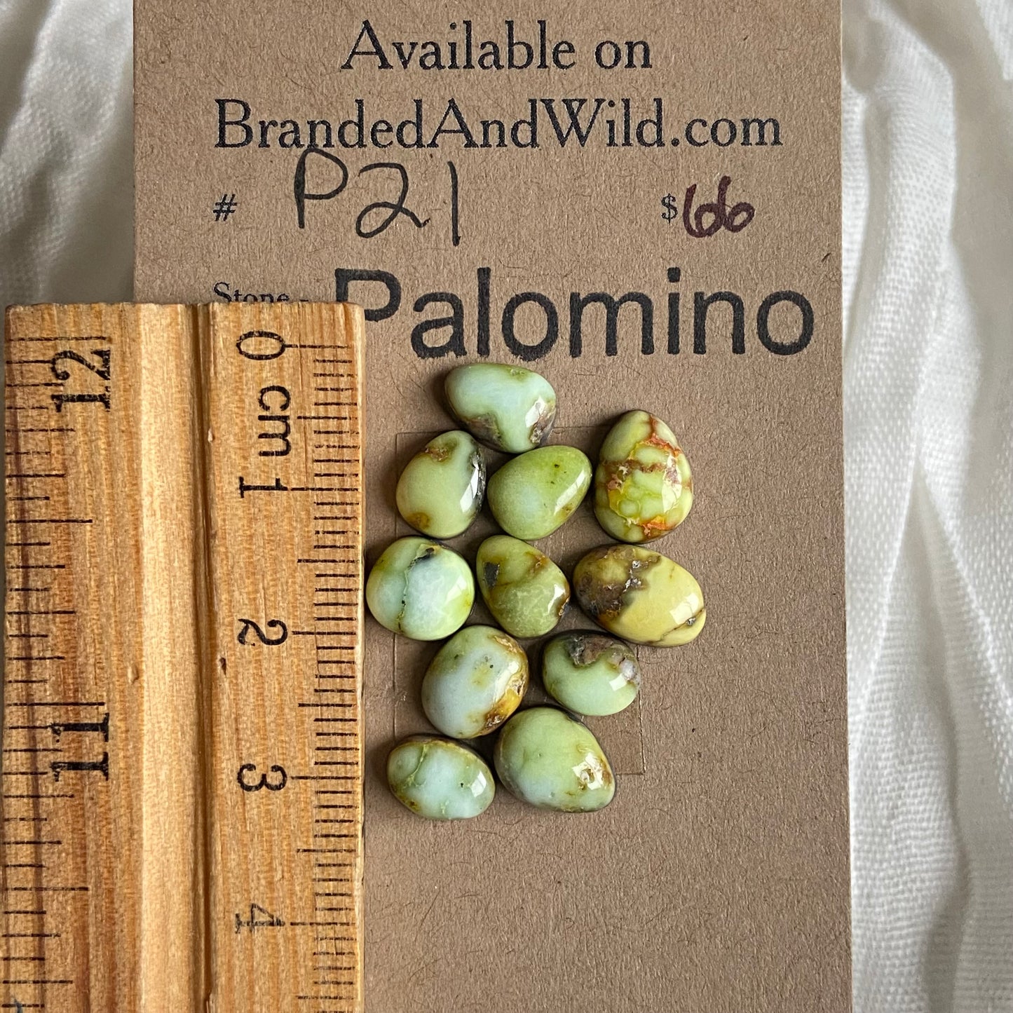 Palomino Cabochon - P21 C896A0A1-E88C-4598-ADED-84E9ACB062B2 Brandedandwild.com