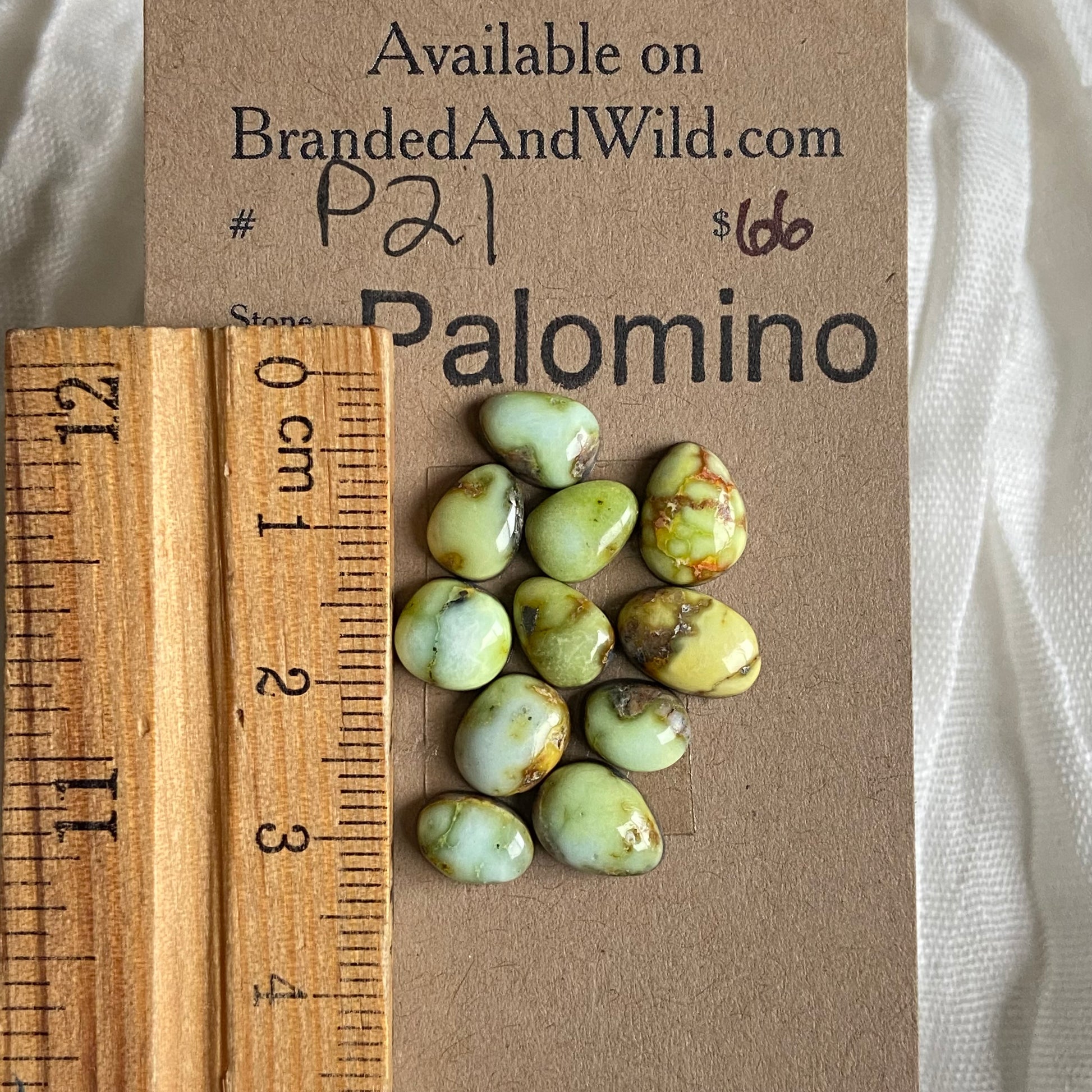 Palomino Cabochon - P21 C896A0A1-E88C-4598-ADED-84E9ACB062B2 Brandedandwild.com