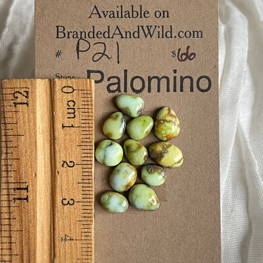 Palomino Cabochon - P21 C896A0A1-E88C-4598-ADED-84E9ACB062B2 Brandedandwild.com