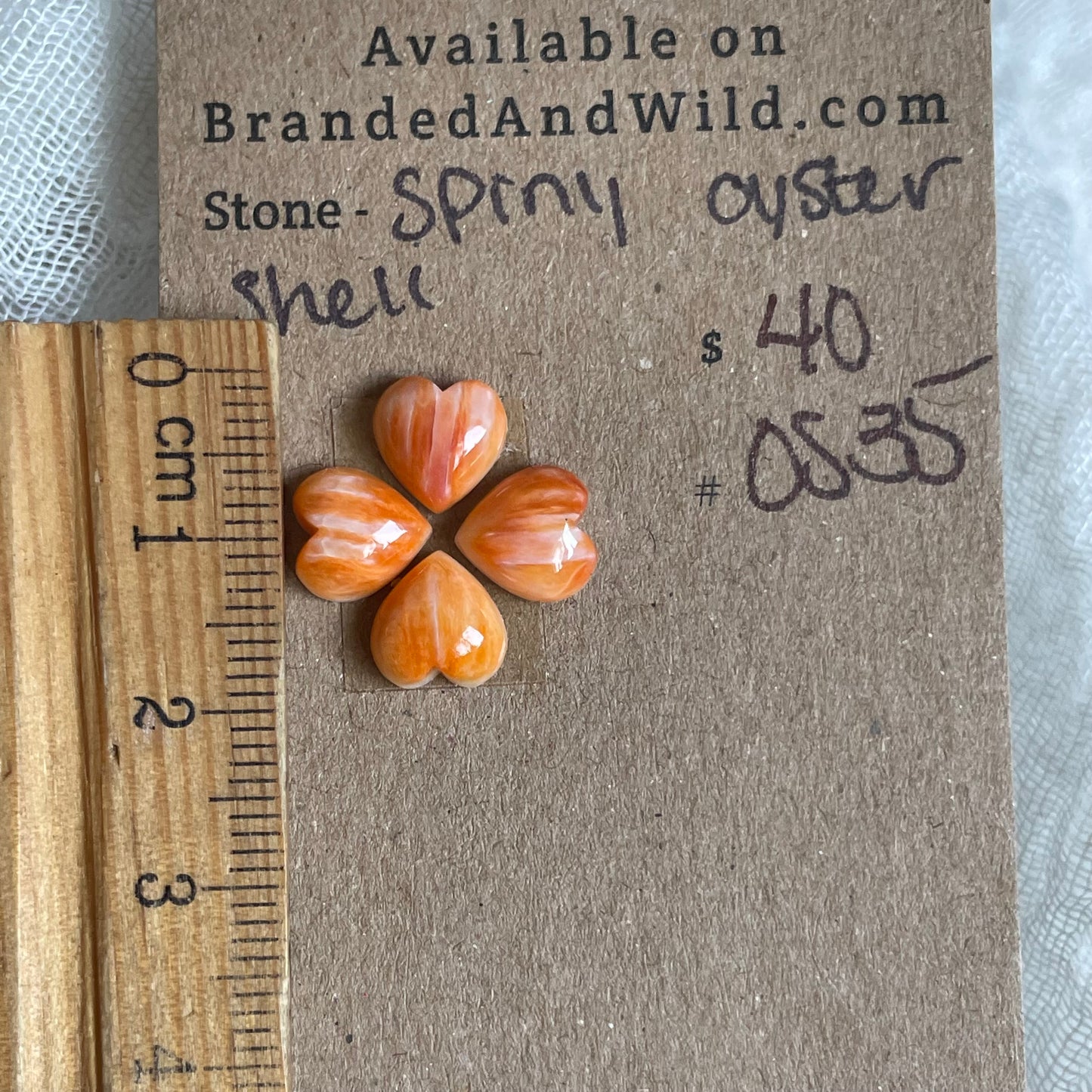 Oyster Shell Cabochon - OS35