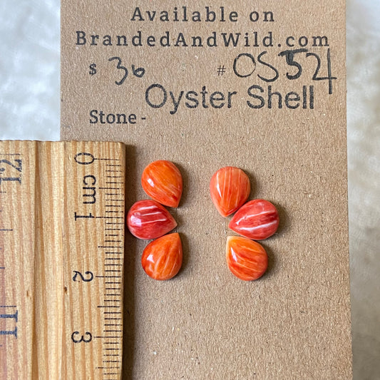 Oystershell Cabochon - OS54 C8B744A6-9580-4DA7-BF4E-F62DF0F435D6 Brandedandwild.com