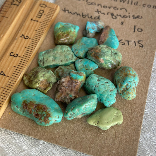 Rough Tumbled Sonoran Gold Turquoise - #ST15