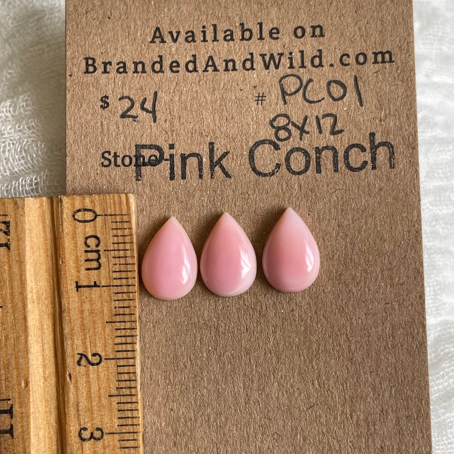 Pink Conch Cabochon - PC01