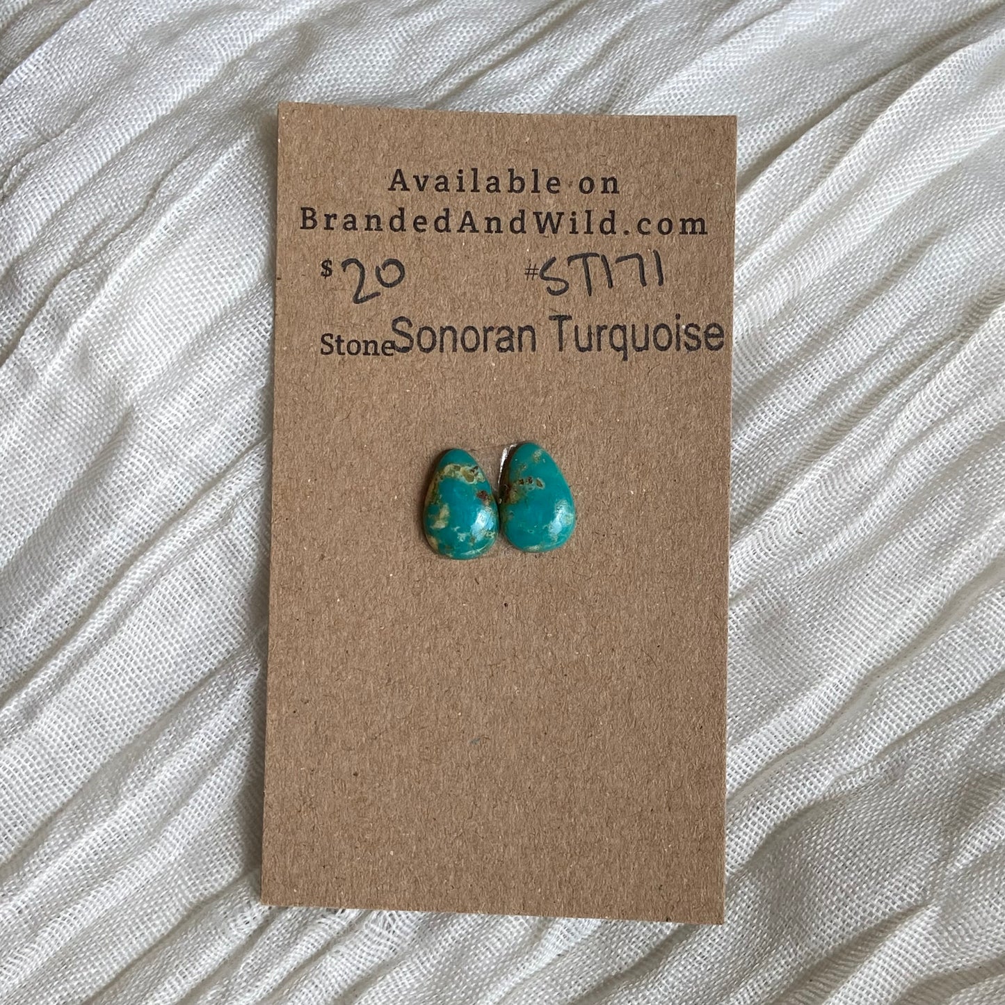 Sonoran Turquoise Cabochon - ST171 C96B3FCA-D324-492F-B501-F9C51D832649 Brandedandwild.com