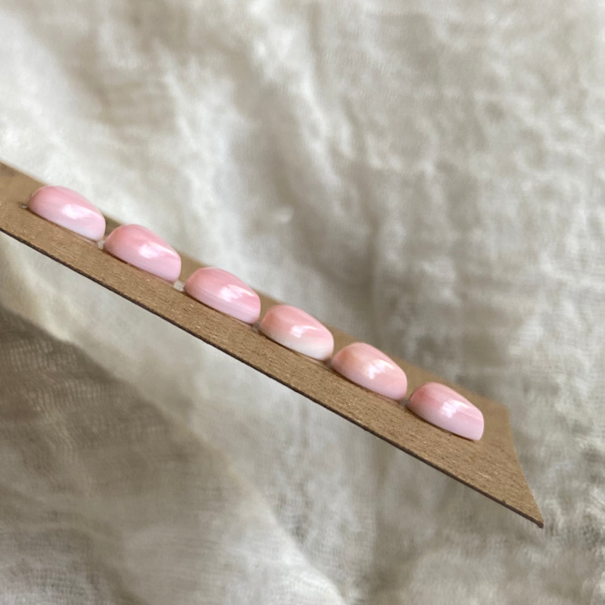 Pink Conch Cabochon - PC39 C992DC63-7F47-4093-9633-38EC3EC51385 Brandedandwild.com