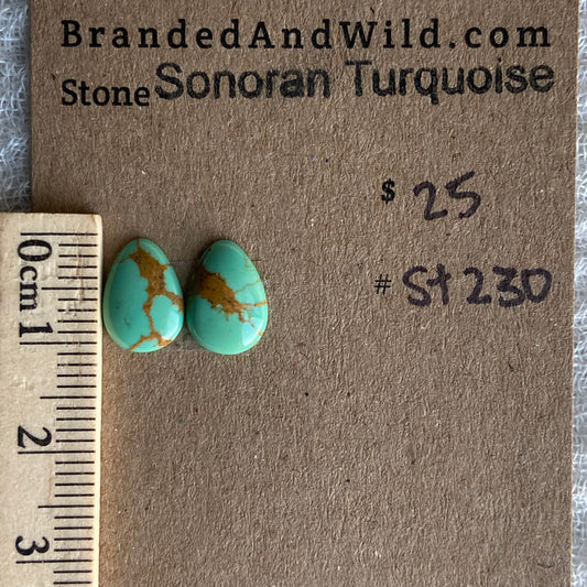 Sonoran Turquoise Cabochon - ST230