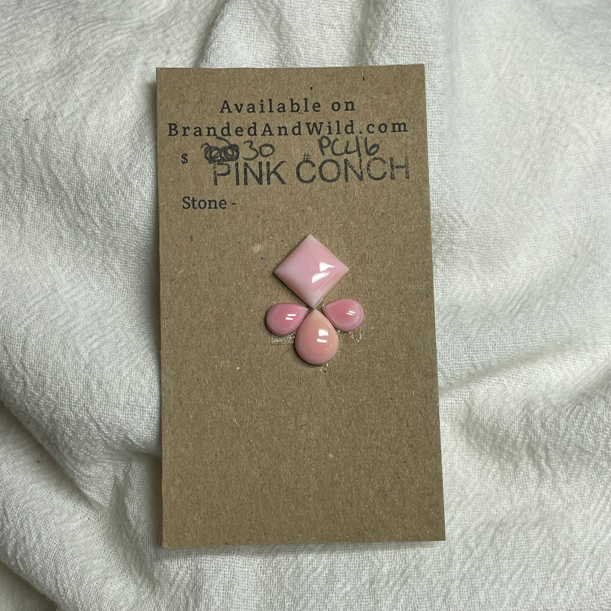 Pink Conch Cabochon - PC46 C9F35D24-7E92-4B68-91B8-7F0DDADF721A Brandedandwild.com