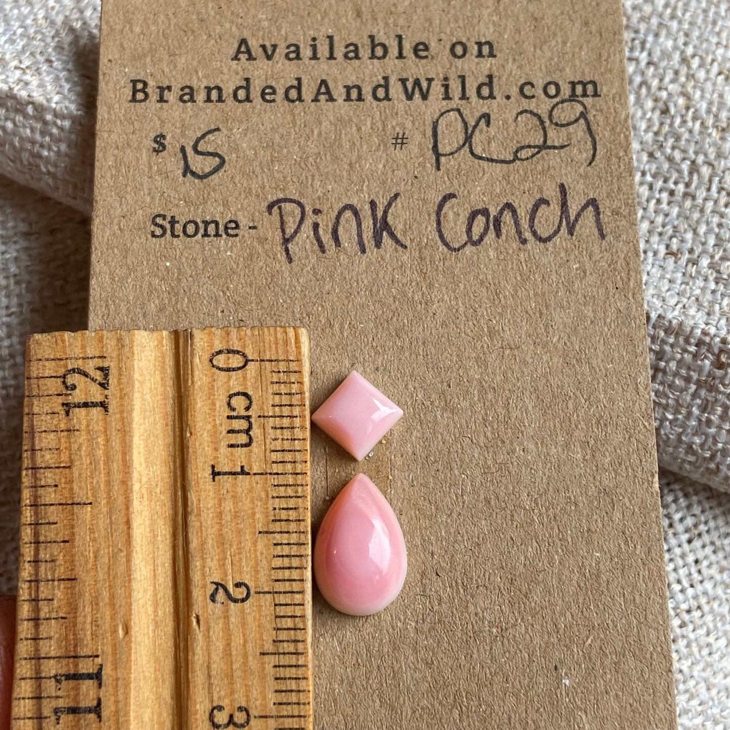 Pink Conch Cabochon - PC29 CA38CDCD-7136-4999-AE18-6082778536D7 Brandedandwild.com
