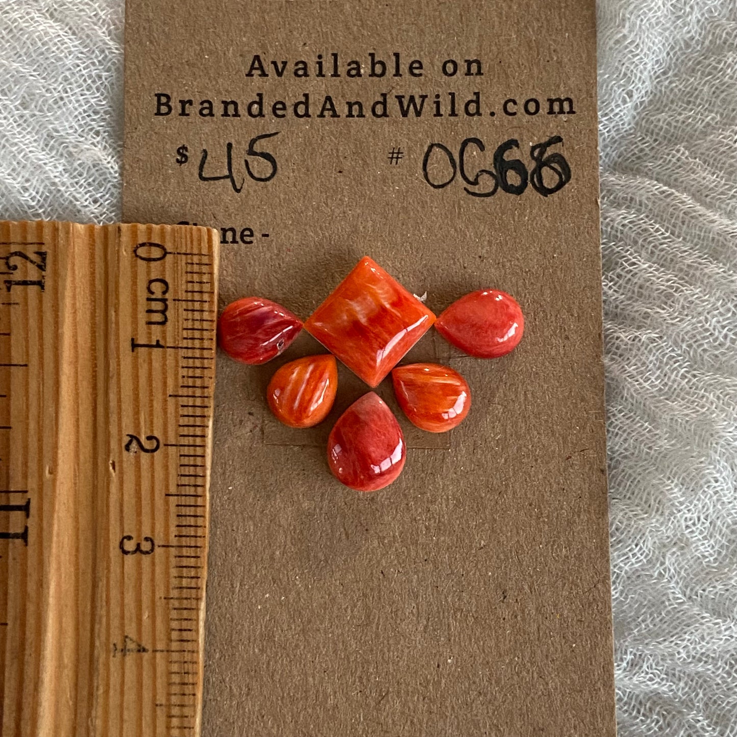 Oyster Shell Cabochon - OS66