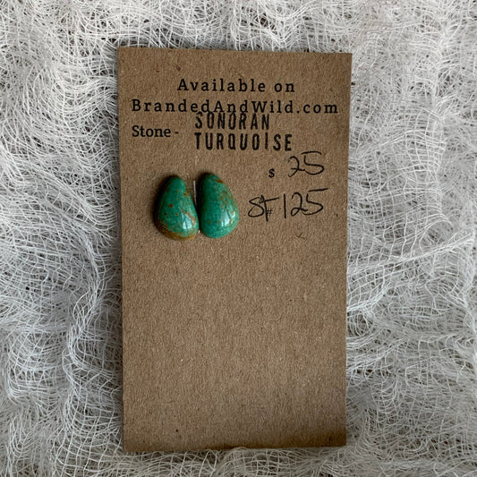 Sonoran Turquoise Cabochon - ST125