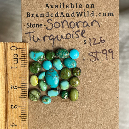 Sonoran Turquoise Cabochon - ST99