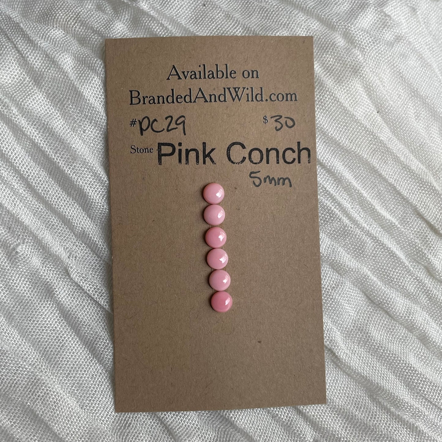 Pink Conch Cabochon - PC29 CAA4EE41-AB31-4454-8784-CE57FF837867 Brandedandwild.com