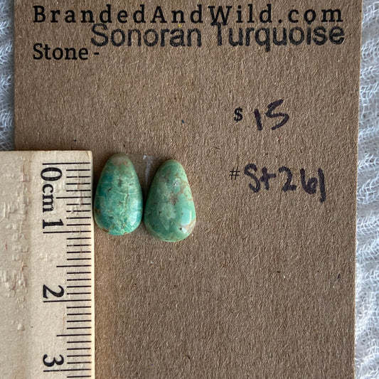 Sonoran Turquoise Cabochon - ST261