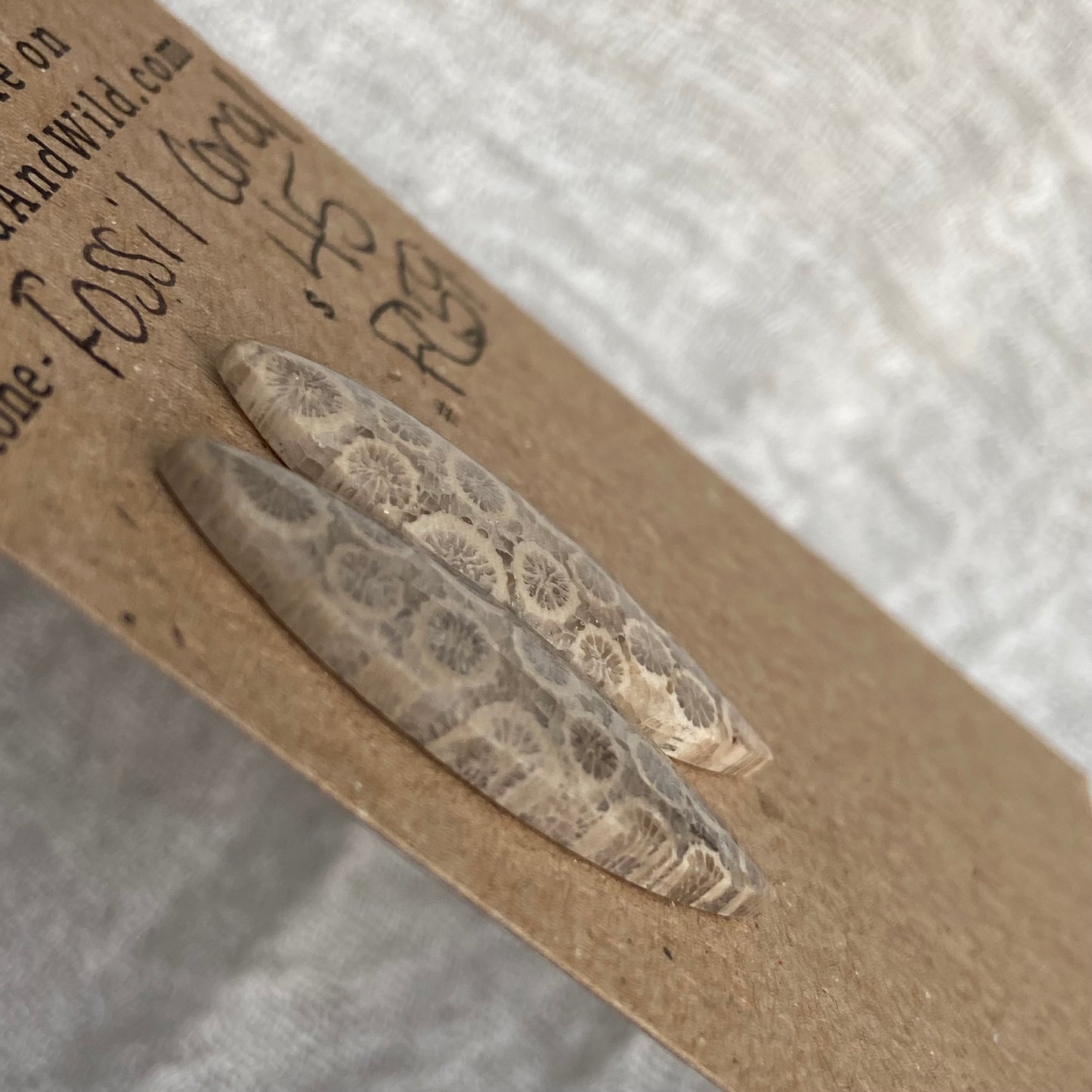 Fossil Coral Cabochon - FC59