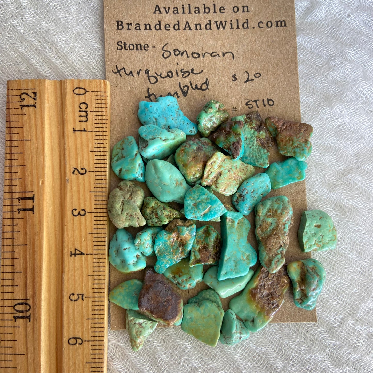 Rough Tumbled Sonoran Gold Turquoise - #ST10