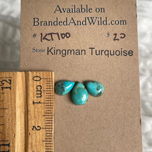 Kingman Turquoise Cabochon - KT100 CAD90FFE-905C-4C90-880E-6D56E5786B75 Brandedandwild.com